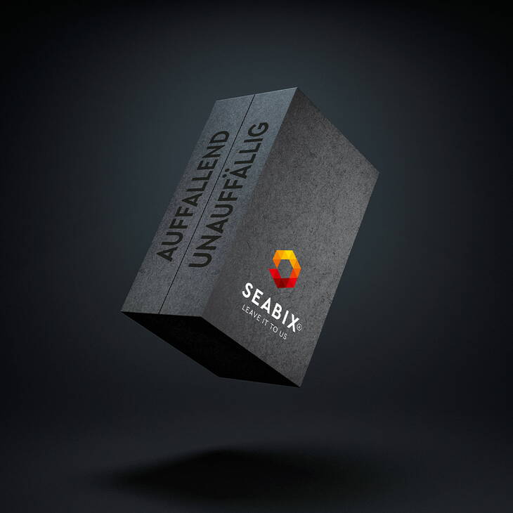 Tollkirsch DeineAgentur_Seabix Firmenauftritt