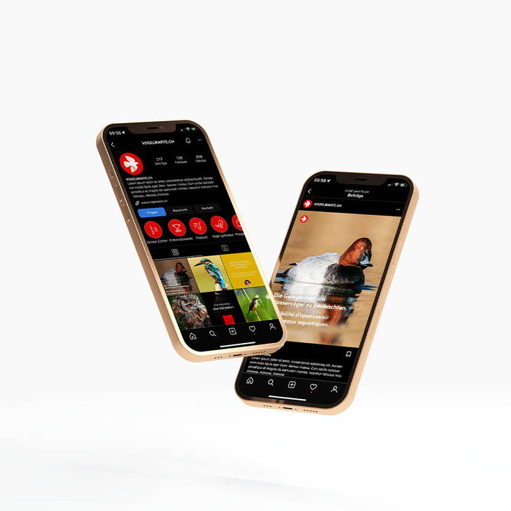 Tollkirsch Deine Agentur_Oktoberfest Winterthur Signaletik